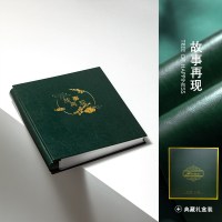 翡翠绿-故事再现 6寸可入册700张|相册影集家庭插页式相册本纪念册大容量6寸过塑混装7寸宝宝成长五