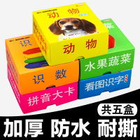 儿童有图识字卡片0-3-6岁幼儿认字卡片拼音大卡学龄前幼儿数字水果动物卡片宝宝婴儿撕不烂书籍启蒙认知早教看图识图识物卡片