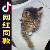 汽车个性3d立体仿真可爱小猫咪贴纸立体卡通车身车贴划痕遮挡装饰