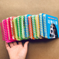 12本婴幼儿童看图识字卡片0-1-3岁宝宝玩具启蒙认知字学习早教书幼儿动物卡儿歌唐诗拼音圈圈书婴儿交通工具书籍2撕不烂卡