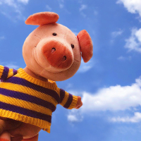 网红丑萌礼物玩偶王源同款猪猪公仔娃娃毛绒玩具睡觉抱枕女生可爱