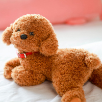 正版仿真狗泰迪狗公仔毛绒玩具小狗狗玩偶娃娃泰迪犬儿童玩伴礼物