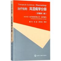 治疗指南 风湿病学分册 原著第3版  痛风骨关节炎类风湿关节炎镇痛抗炎药的应用原则 风湿病基本诊断和治疗书籍 临床医