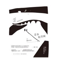 走出防空洞 戴维洛奇著 一部穿越时空的成长小说 献给所有尝试过走出防空洞的人 自传性小说 中文版翻译出版 现当代文学