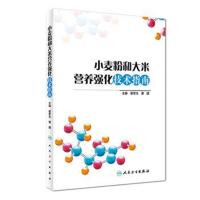 [旗舰店   ]小麦粉和大米营养强化技术指南 霍军生 黄建 主编 9787117267199 预防医学 2018年6