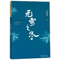 [正版]无雪之冬 王跃文经典中短篇小说集 日常生活现场的多维人性透视 一部关于世间百态 人生世相的沉思录  新华书店