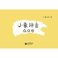 正版 小象拼音aoe 盒装 4-7岁儿童汉语声母韵母拼音卡片 幼小衔接启蒙认知教材 学龄前幼儿看图识字早教卡 幼儿园