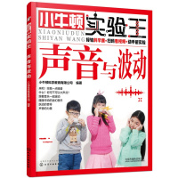 声音与波动-小牛顿实验王