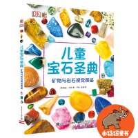 DK儿童宝石圣典 矿物与岩石视觉图鉴