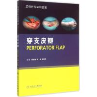 显微外科实例图谱:穿支皮瓣