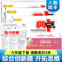 2019新版典中点六年级下册语文英语数学书同步训练人教版一课一练课时作业随堂练习册单元期中期末达标检测试卷全套六年级