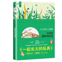 一起长大的玩具二年级下册让太阳长上翅膀 金波的24堂阅读课 小学生二年级下册快乐读书吧 2年级 新编小学语文教材  