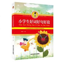 正版 小学生好词好句好段 彩图版 北京工艺美术出版社