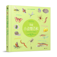 正版手绘小动物百科精装绘本儿童3-6-8-10岁科普翻翻书千奇百怪的动物图鉴趣味科普图画书亲子读  启蒙早教书亲亲