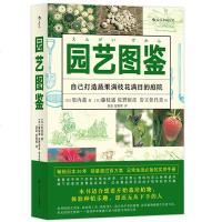 园艺图鉴 家庭阳台种菜植物种植栽培工具使用指南生活家居书籍