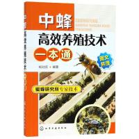 赠视频 中蜂高效养殖技术一本通 中蜂高效养殖技术大全实用养蜂技术养中华蜂大全书籍 养蜂书中华蜂土蜂中蜂饲养新技术 蜜