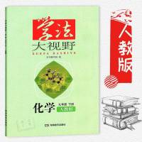 学法大视野化学九年级下册人教版 初中化学书教材同步教辅资料书 初三9年级下册化学教辅书 湖南教育出版社