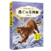 逃亡的美洲狮 沈石溪中外动物小说精品升级版 9-12岁儿童文学励志动物成长故事 三四五六年级小学生课外阅读书 安徽少