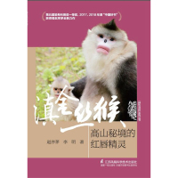 滇金丝猴 高山秘境的红唇精灵 7-10-12岁少儿童趣味科普自然世界动物知识 小学生一二三四五六年级课外读物