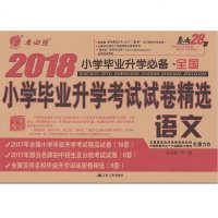 2019春雨教育考必胜全国小学毕业升学考试试卷精选 语文 2019小学毕业升学教辅全国卷详解附往年真题讲解练习小升初