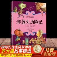 洋葱头历记正版二年级注音版罗大里故事精选拼音美绘本经典儿童文学故事书一年级二三年级课外阅读书6-9岁儿童注