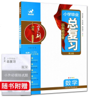 欣鹰图书2019小学毕业总复习第3版数学 小升初六年磨一剑 六年级升初中知识大全知识集锦宝典题库作业本
