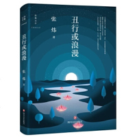 丑行或浪漫 一个关于逃离奔跑寻找救赎的故事 展现文润肌理情透纸背的范本小说 中国近现代小说  书籍[新华书店旗舰店官