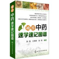 袖珍中药速学速记图谱 常用中药饮片400余种 总结特征鉴别口诀 常见中药饮片 中药饮片鉴别知识大全 中医学入 新华