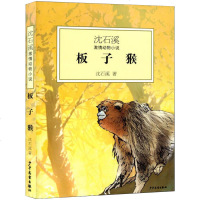 沈石溪激情动物小说系列 板子猴 9-12-15岁儿童文学  书籍小学生课外阅读书籍中学生课外读物 少年儿童出版社