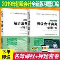 正版   全2册 2020初级会计资格职称考试习题汇编 初级实务+经济法基础习题册机考章节题一本通单元同步专项训练2