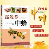 高效养蜂的书蜜蜂养殖技术书籍中蜂高效养殖技术大全实用养蜂技术中蜂技术养殖大全书籍养蜂书籍科学饲养蜜蜂教程蜜蜂病害防治