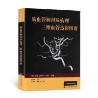 【彩色精装】正版 脑血管解剖及病理三维血管造影图谱 人体脑血管解剖学图谱 神经外科医生技术参考书 颈部颅内动脉静脉医