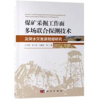 煤矿采掘工作面多场联合探测技术及突水灾害源预报研究 博库网