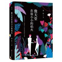 [正版]像天堂在放小小的焰火 鲁迅文学奖得主 乔叶中短篇小说集 利益之下人与人 人与世界之间的角力 中国现当代文学书