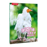正版   谁能吃掉谁-尼罗河食物链大揭秘 (美)丽贝卡 少儿科普 益智游戏少儿读物排行榜  书籍 中信出版社