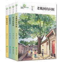 正版   希望树成长书系4册 杜鹃花开+阳光瀑布+南方的牧歌+老槐树的问候 6-14岁儿童文学书 小学生课外阅读书籍