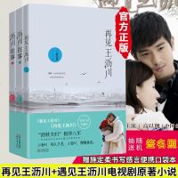 再见王沥川 沥川往事(上下)全3册 2018新版 赠3万字番外 高以翔焦俊艳电视剧原著施定柔小说 正版青春文学书籍畅