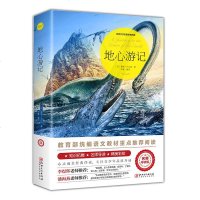 地心游记 儒勒凡尔纳/著 语文丛书/读物名师导读版书籍/青少年小学生课外文学名著课外书正版原著