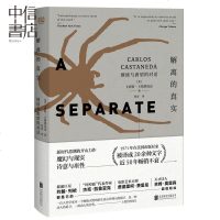 解离的真实:继续与唐望的对话