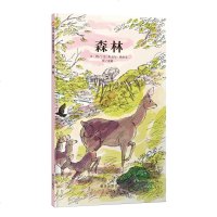 正版精装 森林 信宜绘本 儿童绘本0-3岁幼儿园小班中班大班一年级经典硬皮精装硬壳 书籍 宝宝3-6周岁早教启蒙认