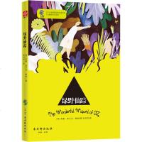 绿野仙踪(无障碍名师导读)