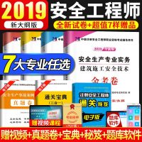 2019年新版注册安全师工程师全套历年真题库试卷注安教材用书配套考试习题试题助理全国煤矿建筑金属冶炼化工道路矿山