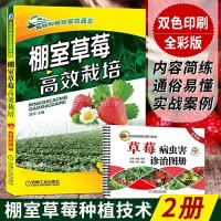 [草莓种植栽培技术大全书籍]棚室草莓高效栽培+草莓病虫害诊治图册 大棚草莓种植病虫害防治教程 草莓育苗栽培管理栽培新