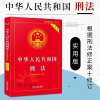 正版 中华人民和国刑法注释本实用版第八版 2019新刑法基础知识书司法解释案例分析 刑法法条单行本理解与适用 中国