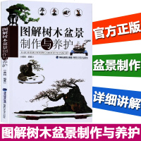 图解树木盆景制作与养护 盆景书籍盆栽书籍 盆景造型设计图盆景制作书养护书籍盆景艺术造型书树木盆景造型设计书栽