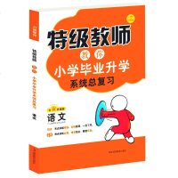 开心教育 特级教师 教你 小学毕业升学系统总复习语文 湖南教育出版社