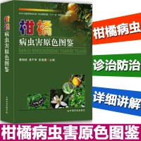 正版 柑橘病虫害原色图鉴 水肥一体化技术 蔡明段 柑橘病虫害防治原色生态图谱 柑橘病诊治与防治 柑橘种植栽培技术