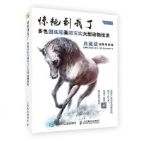 FX人邮[官方正版]惊艳到我了 多色圆珠笔画超写实大型动物技法 绘画技法 圆珠笔美术画 入提高 绘画书籍 人民邮电