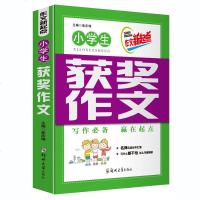 正版2019作文新起点 小学生获奖作文大全小学作文书 小学生作文大全3-6年级三四五六年级作文辅导同步作文辅导书小学