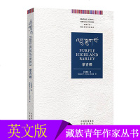 紫青稞 英文版 阅读中国 藏族青年作家丛书 藏族现当代文学 英语学习课外读物